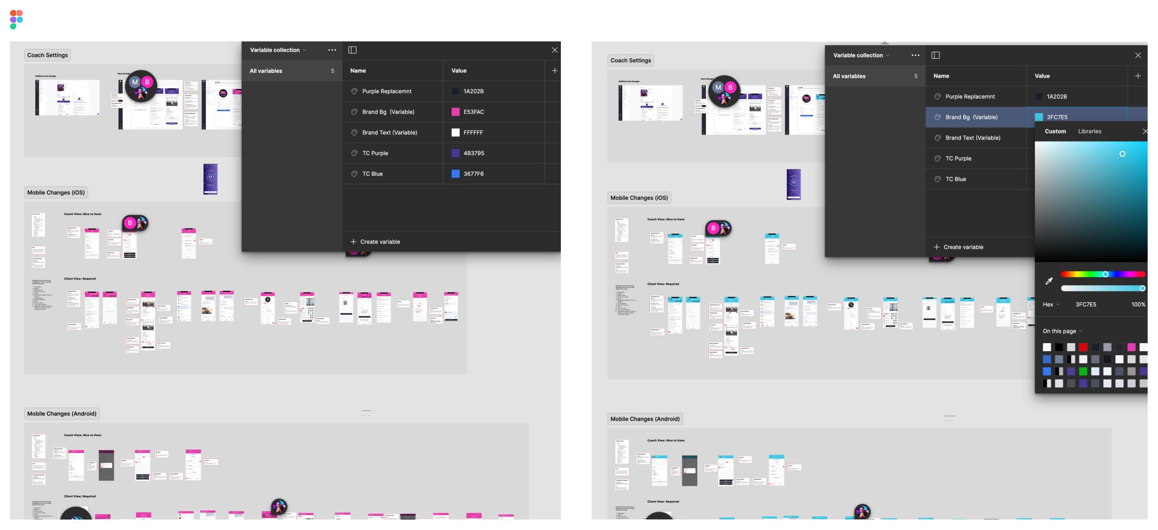 TrueCoach custom branding for coaches