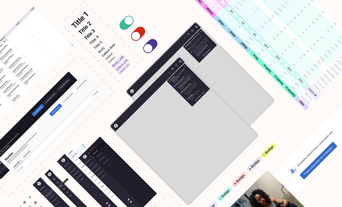 TrueCoach web interface